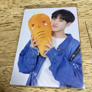 세부치 HOSHI 군 세븐틴 2019 JAPAN TOUR 트레이딩 카드