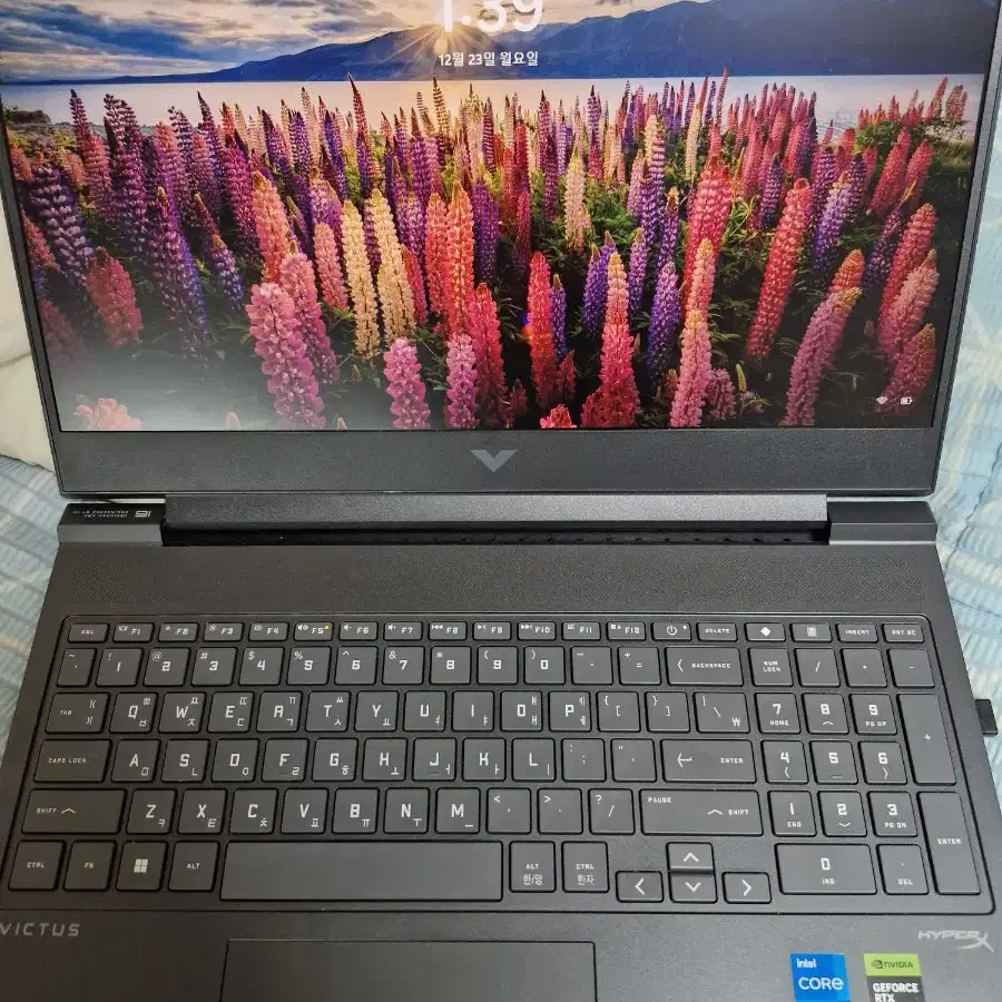 hp 빅터스 16 인텔i5 14500hx 4060 판매합니다