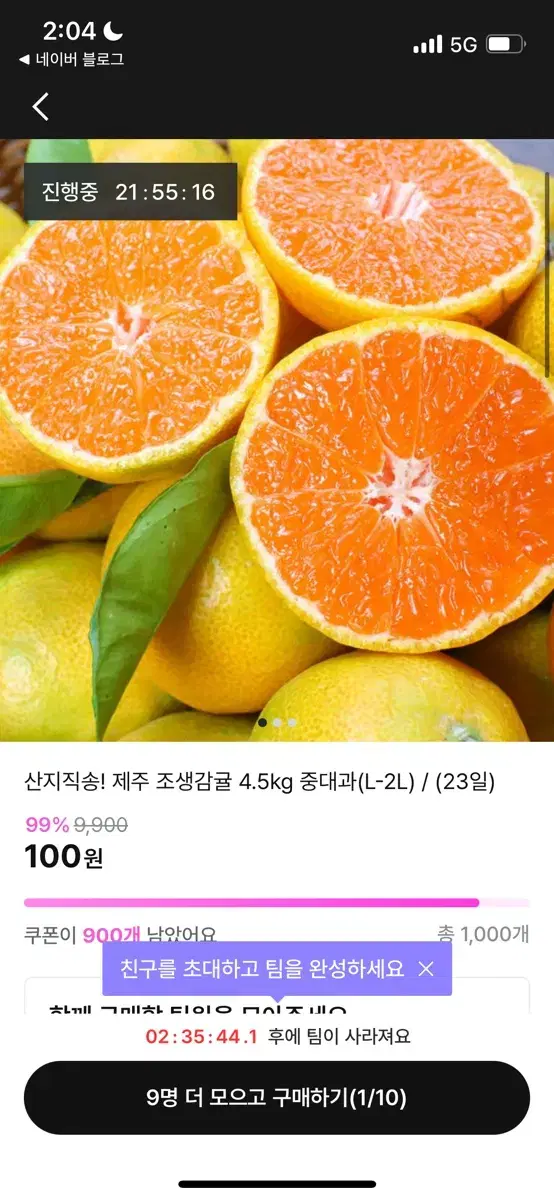 지그재그 귤 100원딜 함께해요