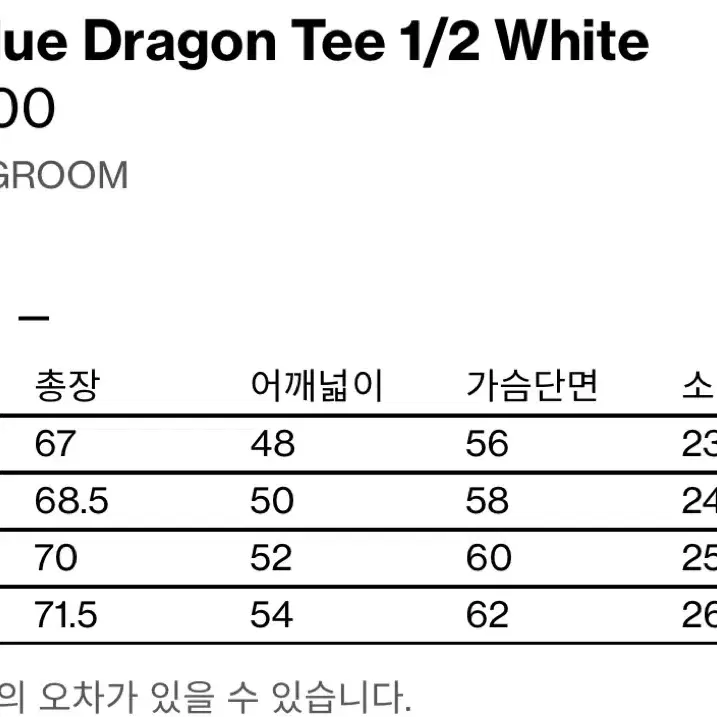 [4] 해칭룸 vtg blue dragon tee 1/2 white