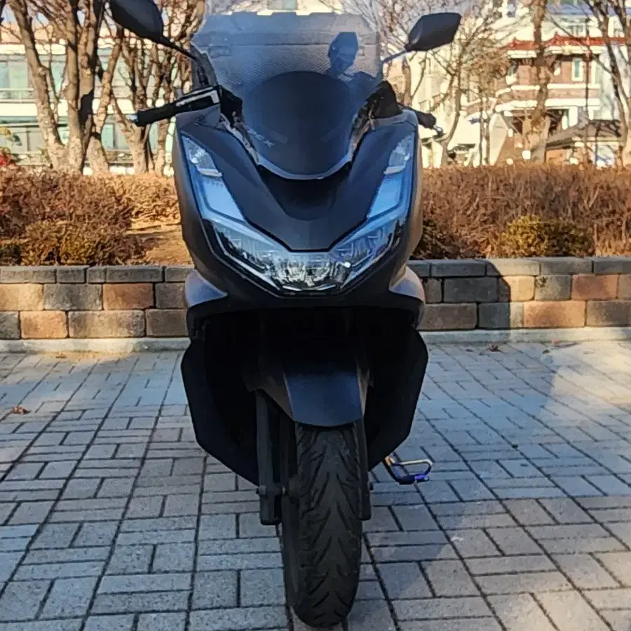 Pcx125 21년 올수리차량