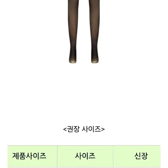 베리쉬 웜시스루 스타킹 라이트기모 + 기모 두가지