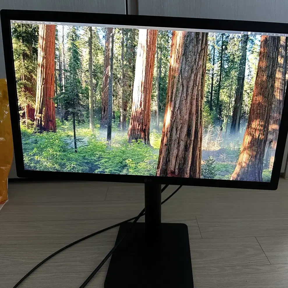 LG UltraFine 4K 21.5인치 22MD4KA Mac 전용 모니