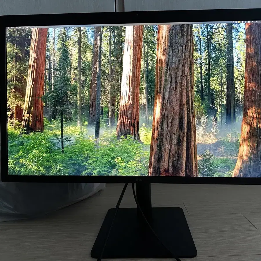 LG UltraFine 5K 27인치 27MD5KL Mac 전용 모니터