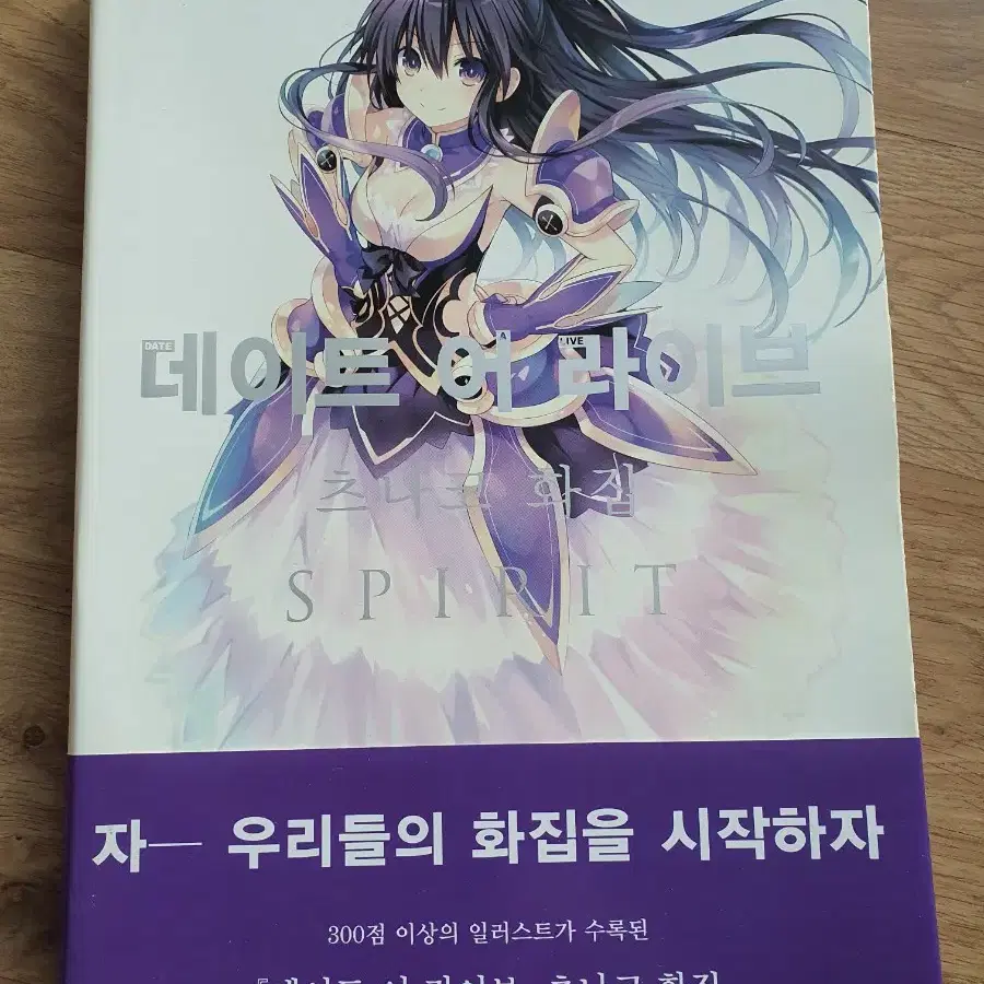 데이트 어 라이브 츠나코 화집 SPIRIT