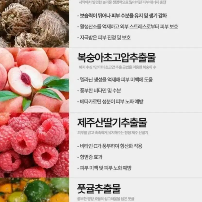 미백토마토크림