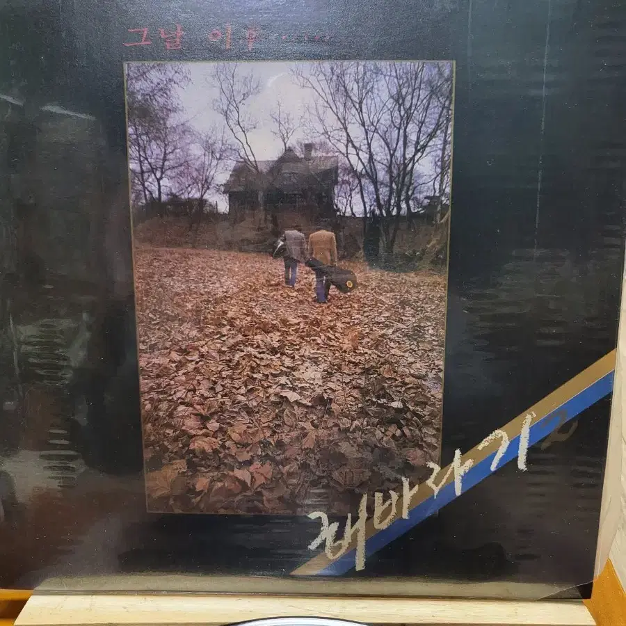 해바라기 LP