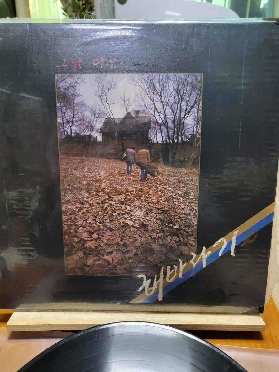 해바라기 LP