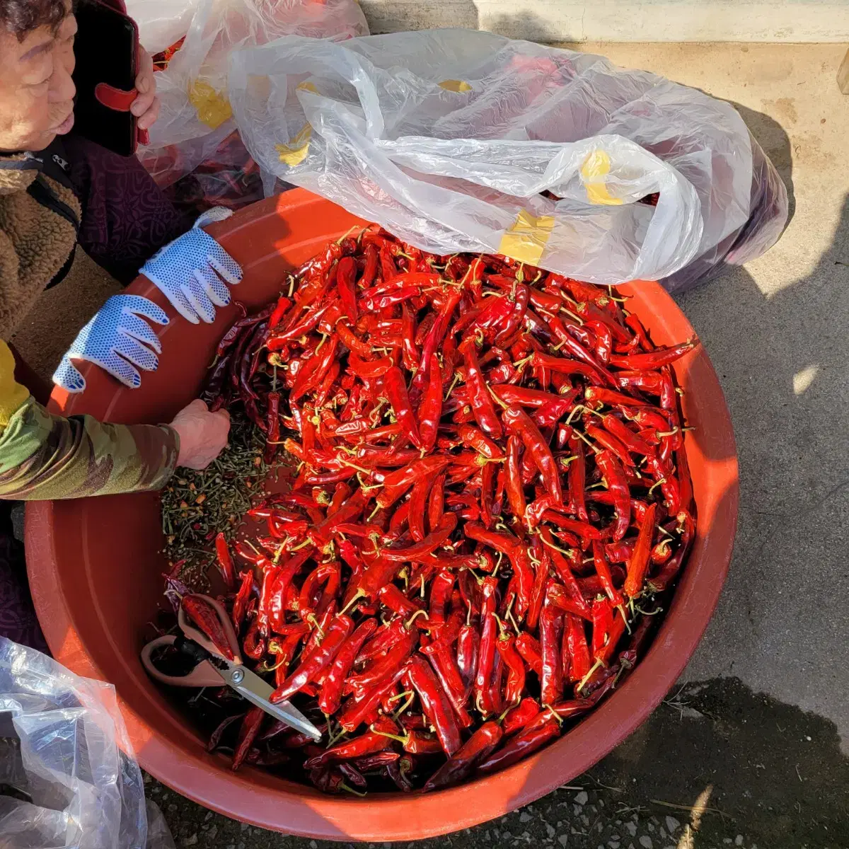 <태양초>고추가루