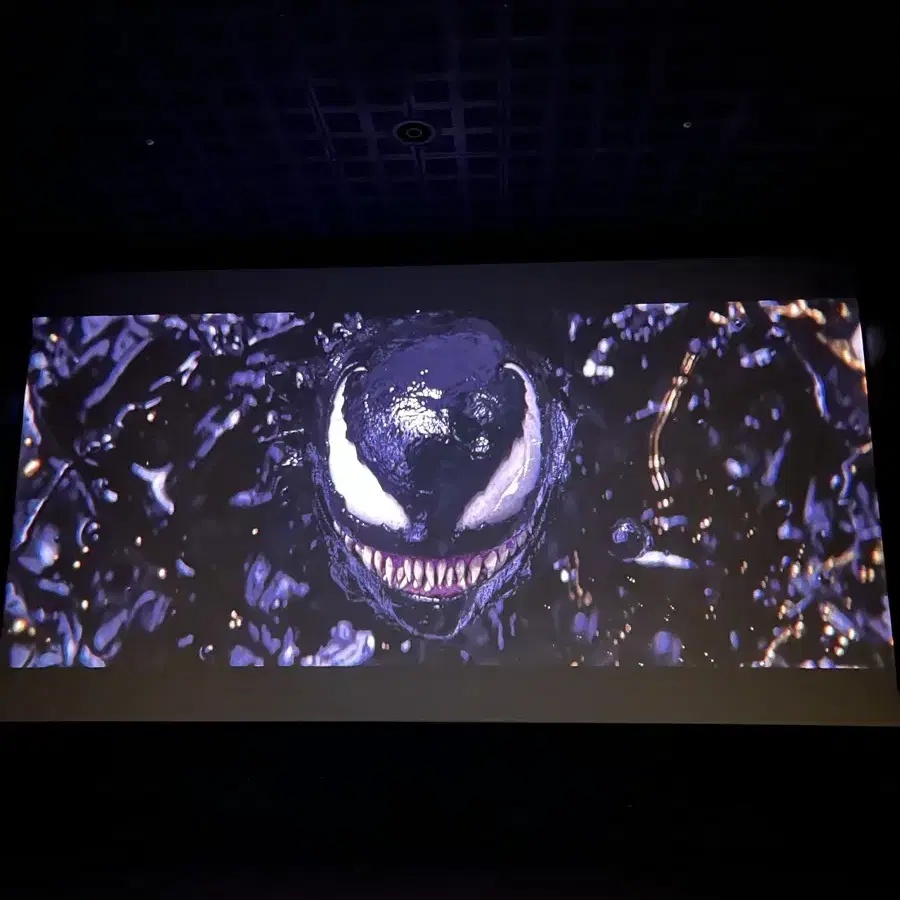 CGV 아이맥스 4DX 특별관 평일 대리예매 무파사 모아나 소방관