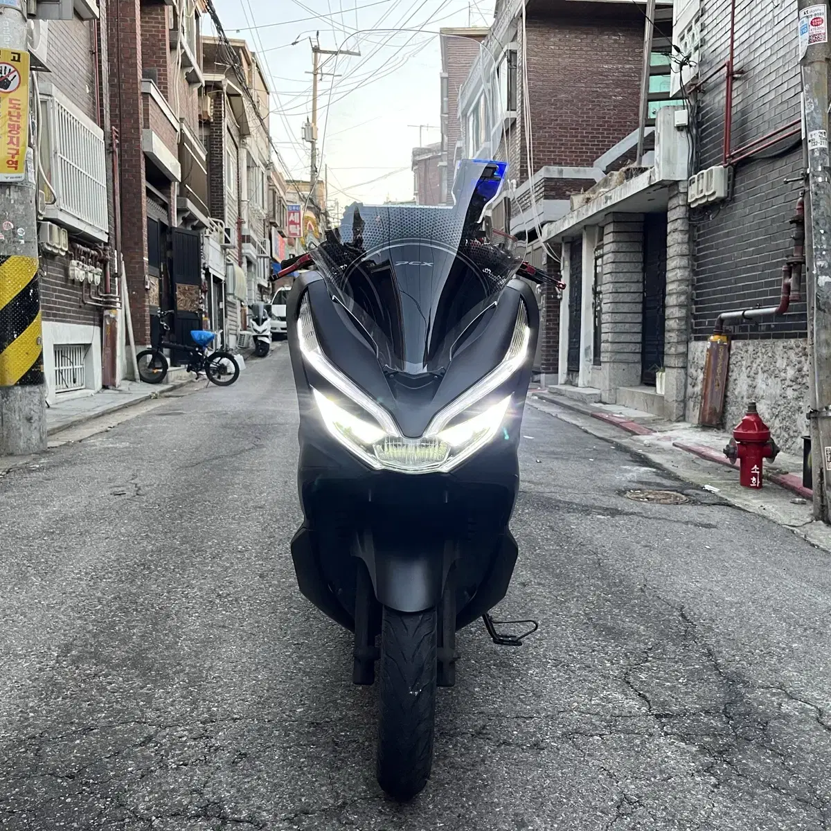 2019 pcx125 요시무라머플러 배달셋팅 150만원