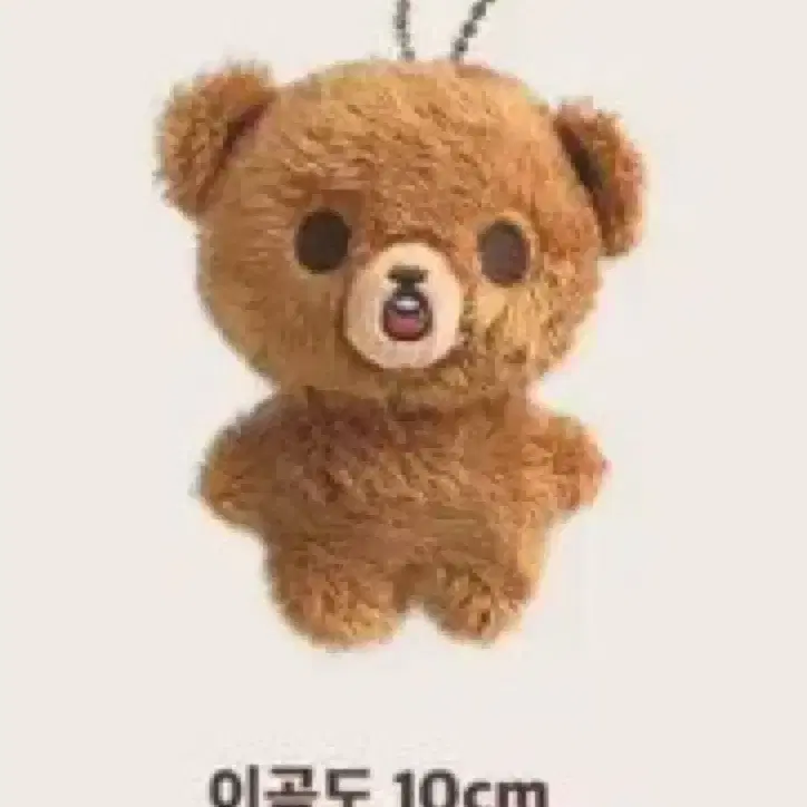 이곰도 10cm 양도 받아요ㅜㅜ,,