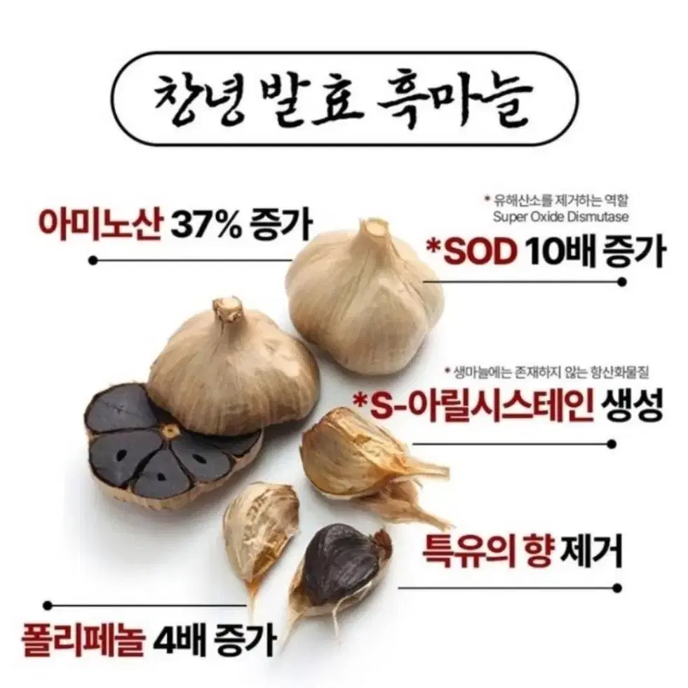 블랙갈릭부스터