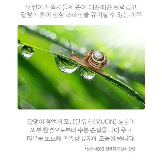 싸이닉 스네일 아이크림 30ml(새상품,1개)