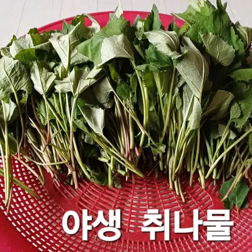 야생 건취나물  (1봉지-50g)