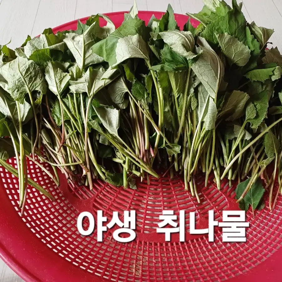 야생 건취나물  (1봉지-50g)