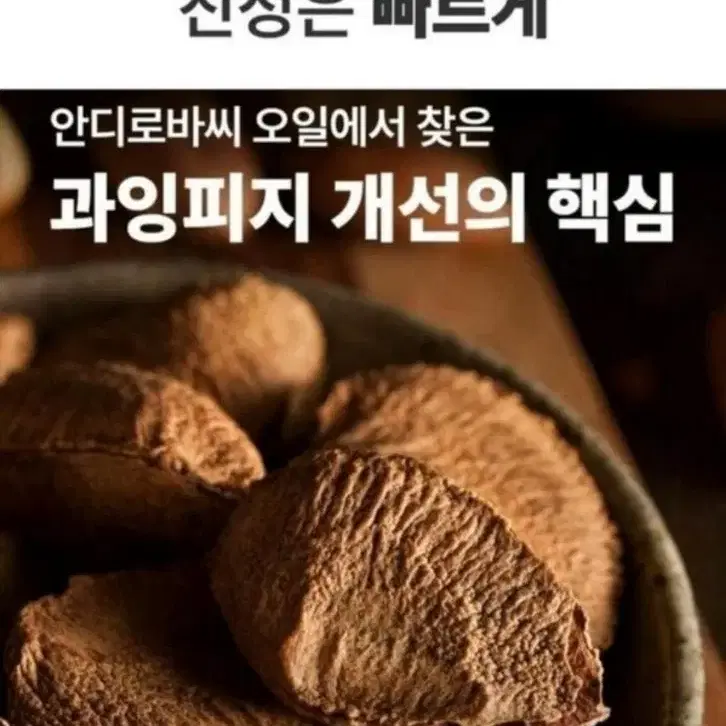 지성전용로션크림