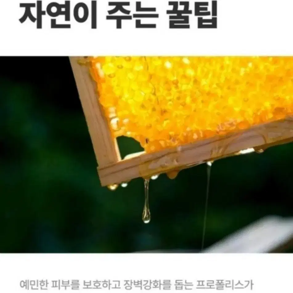 지성전용로션크림