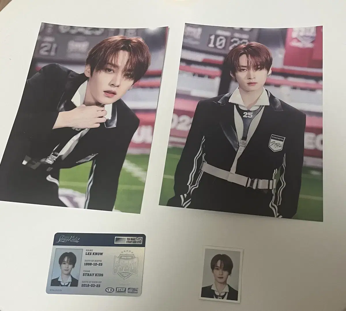 Straykids lee know Five Star Profile Book dome tour Photo & ID Card