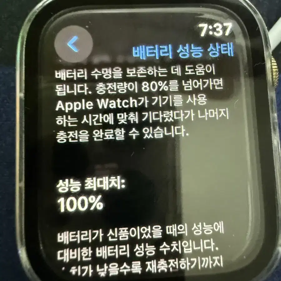 애플워치 8 45mm 셀룰러 스테인리스 골드