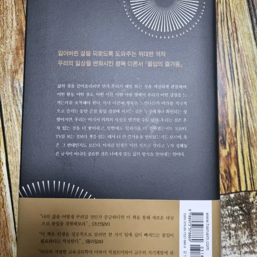 몰입의즐거움 책