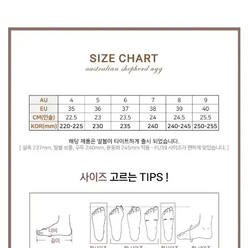 호주 어그 코티드 클래식