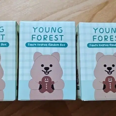 YOUNG FOREST 피규어  키링 박스