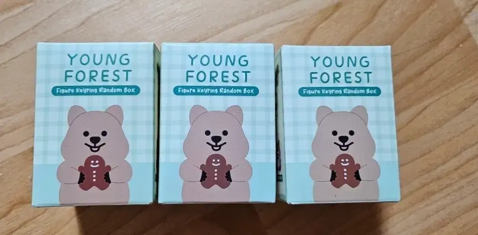 YOUNG FOREST 피규어  키링 박스