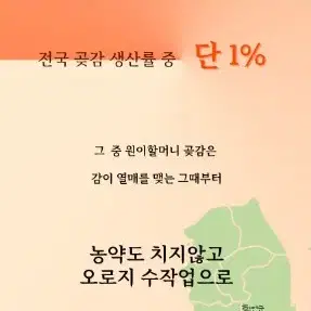 함안곶감 최상품 선물용