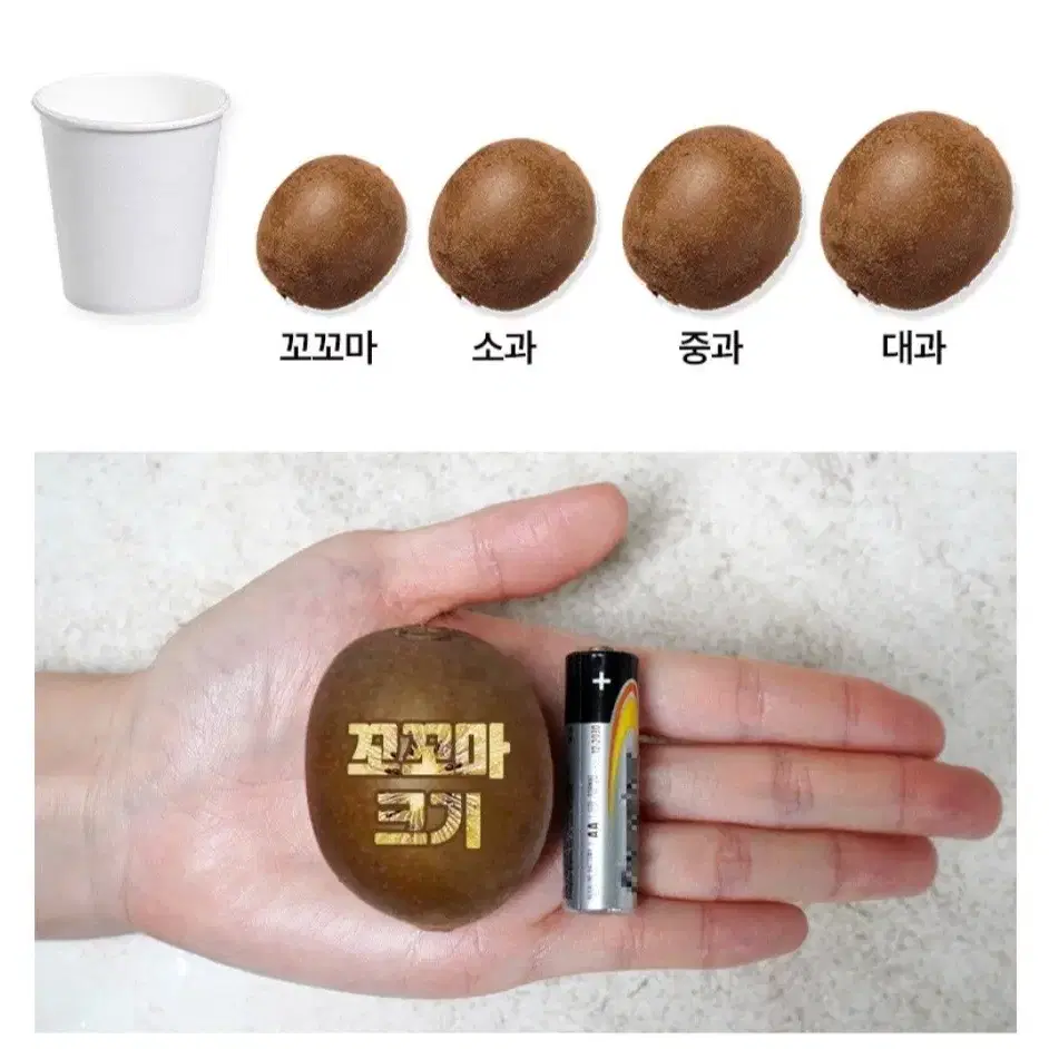 국산 골드키위  2kg