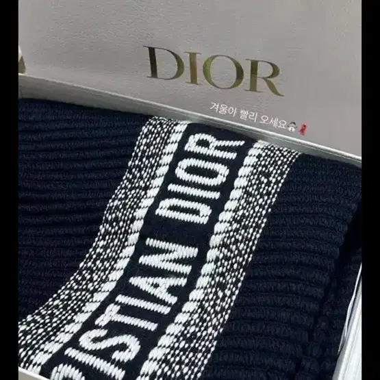 Dior Oblique University