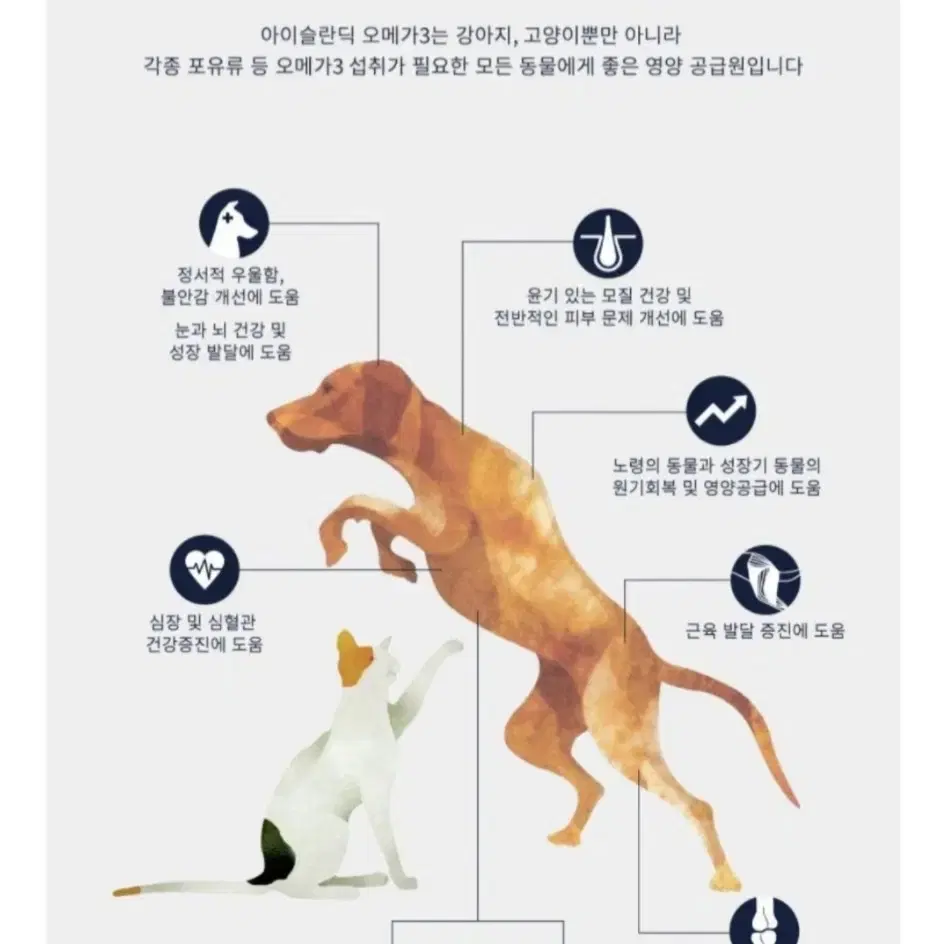 강아지 오메가3 오일 250ml