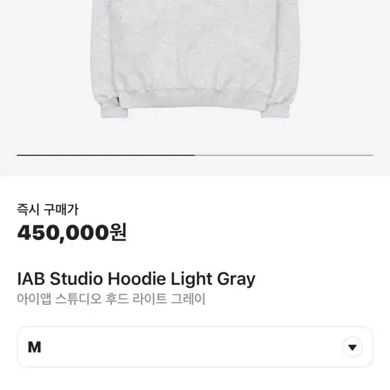 아이앱 스튜디오 후드티