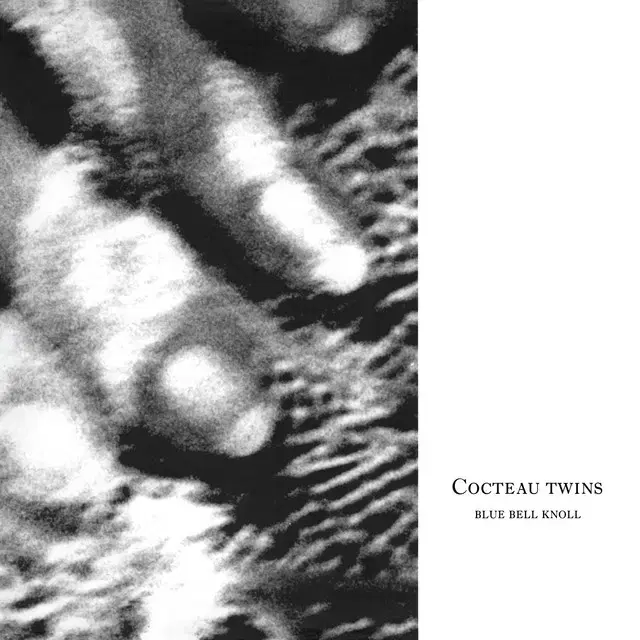 Cocteau Twins - Blue Bell (CD) 영국반04 민트급