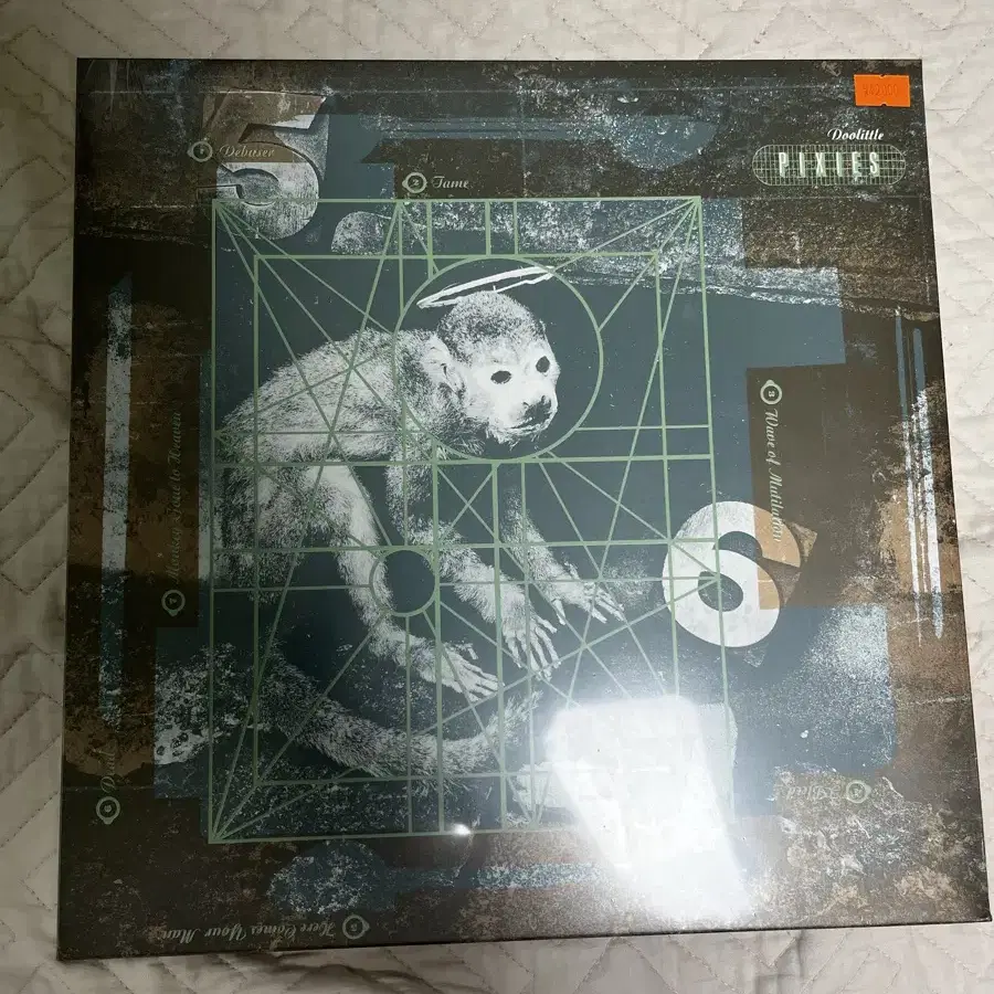 픽시즈 doolittle lp 미개봉