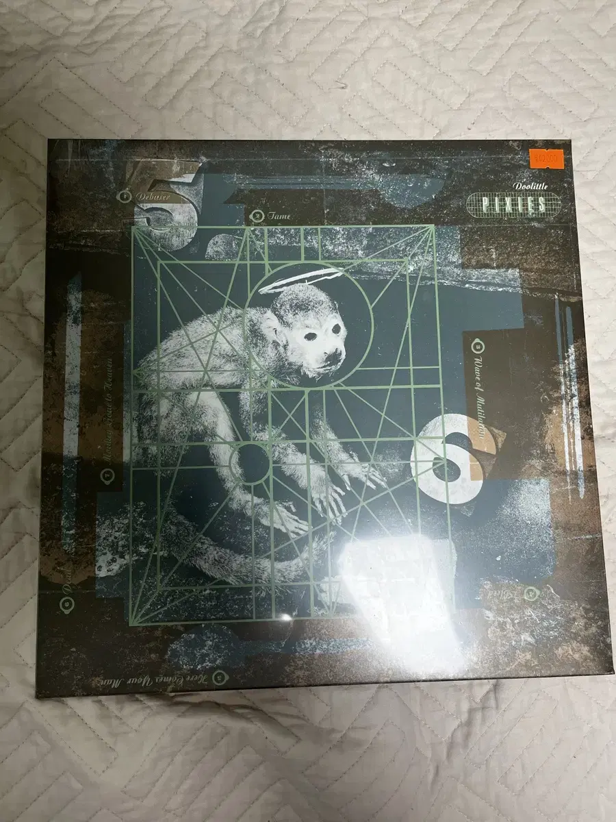 픽시즈 doolittle lp 미개봉