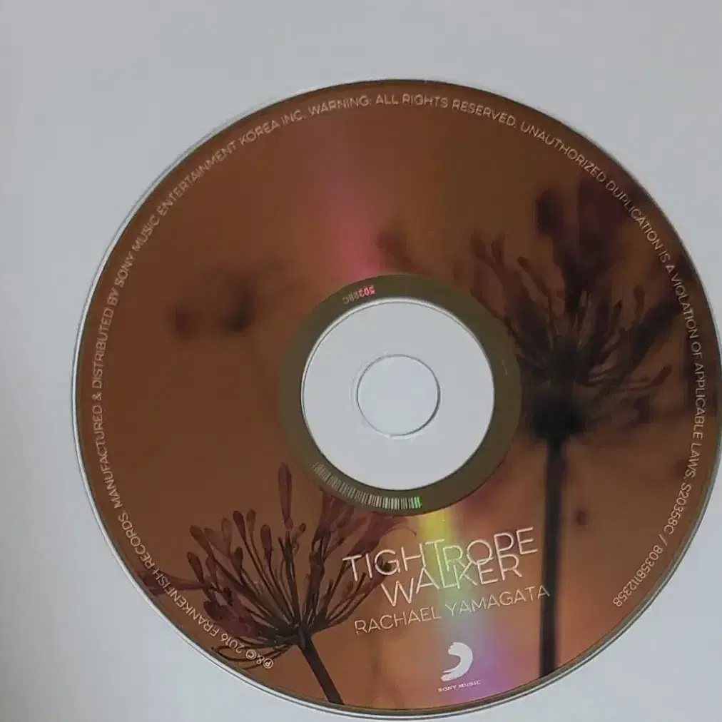 레이첼 야마가타 Tightrope Walker 앨범 시디 CD