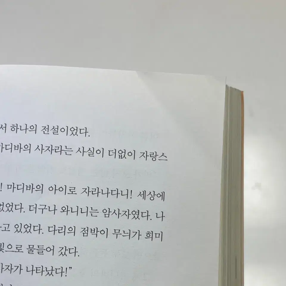 창비 푸른사자 와니니