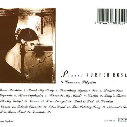 Pixies - Surfer Rosa & (CD) 영국반 90s 민트급