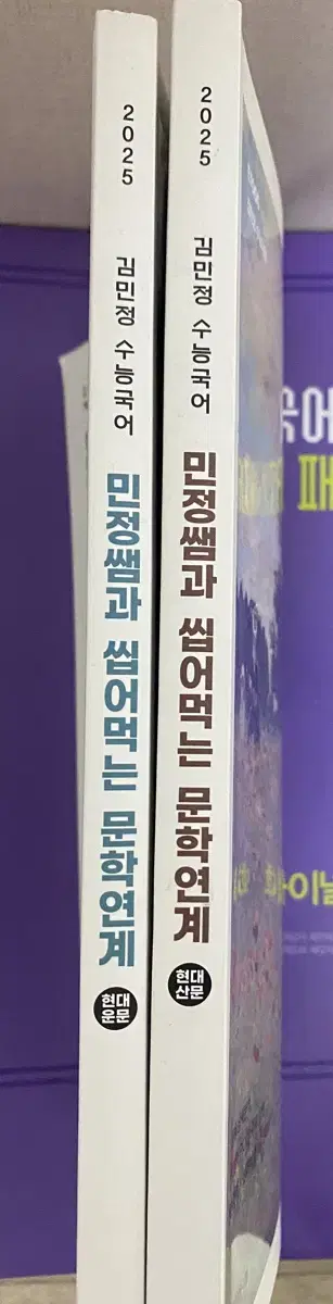 김민정 씹어먹는 문학 2권