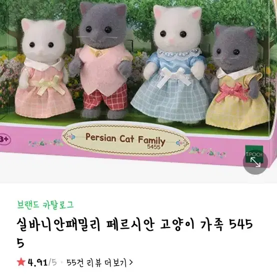 실바니안 페르시안 고양이