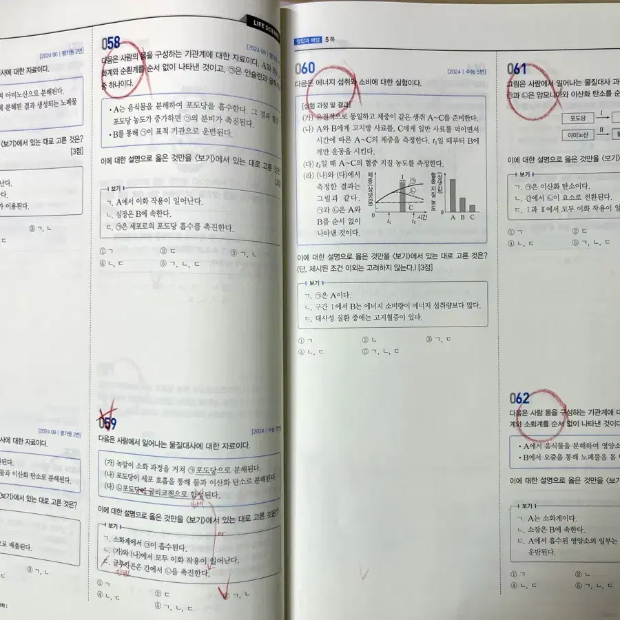 백호 2026 섬개완 문제편 + 2025 필기노트 + 2025 섬개완