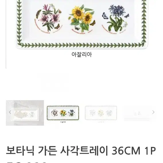 포트메리온 사각트레이 36cm(백화점정품새상품)개당값