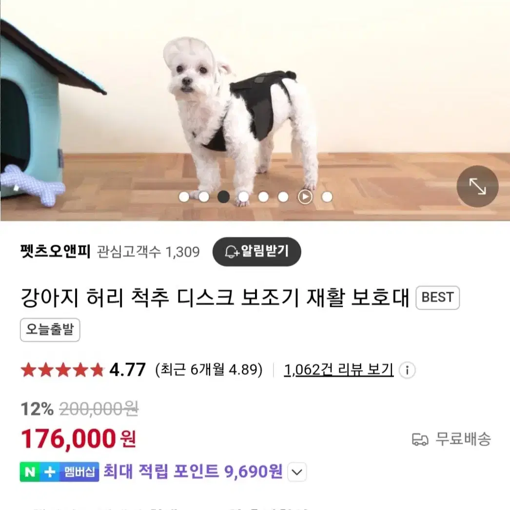 강아지 척추보조기 펫츠오앤피 척추보호대