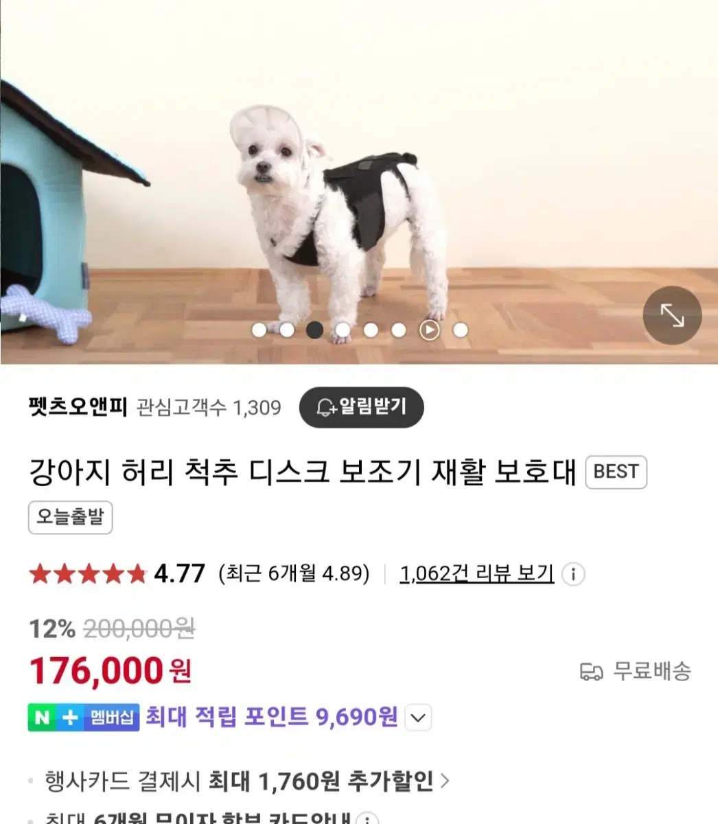 강아지 척추보조기 펫츠오앤피 척추보호대