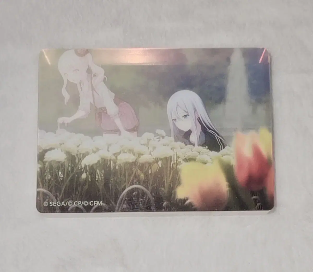 Proseroseca Proseroseca Kanade Mizuki Goods acrylic Noble Art Carnation Exhibition