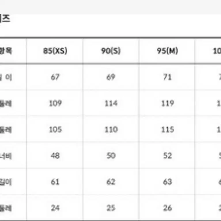 노스페이스 눕시 레오파드 호피 패딩