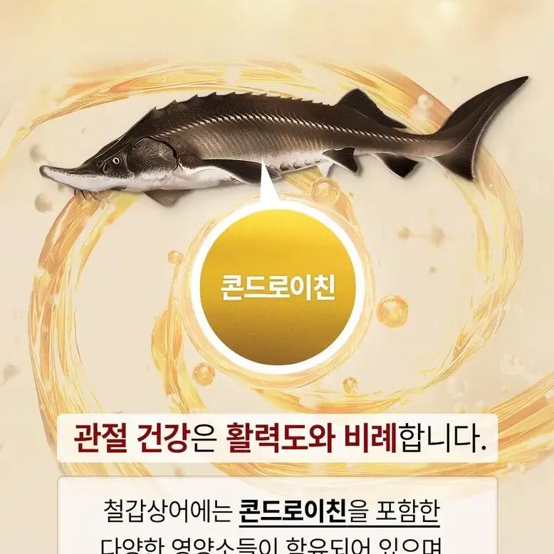 정심 철인관 임꺽정 철갑상어 30포 관절영양제 철갑상어 콘드로이친