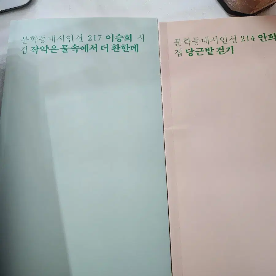 시집 여러권(허수경, 이병률, 당근밭, 작약은 물속에서 환한데 등등)