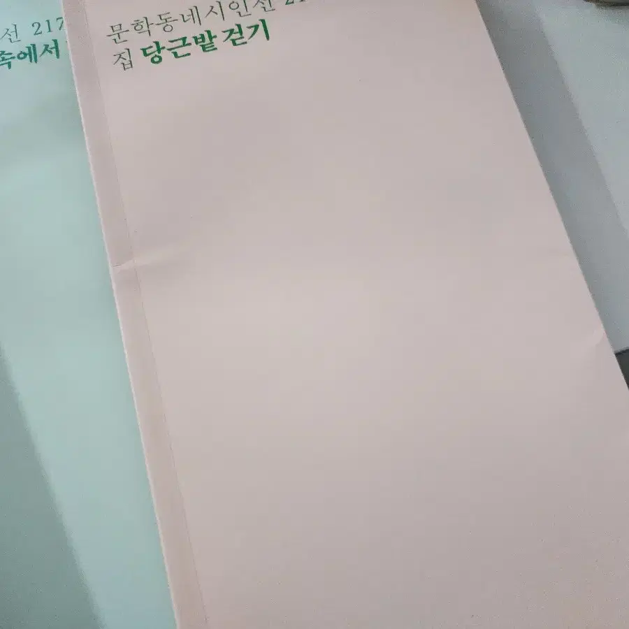 시집 여러권(허수경, 이병률, 당근밭, 작약은 물속에서 환한데 등등)